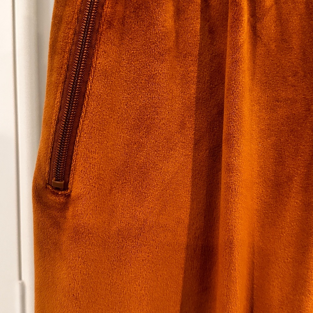 Velvet Drawstring Pants in Rust - Picture 2 of 3